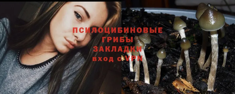 даркнет сайт  Выкса  Псилоцибиновые грибы Magic Shrooms 